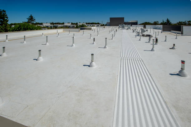 Best Roof Coating and Sealing  in South Ack, NY
